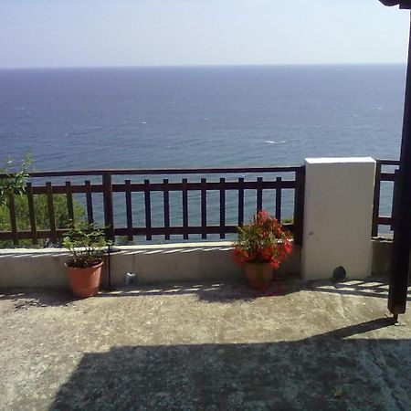 Pelion Orama Apartment Agios Ioannis  Exterior photo