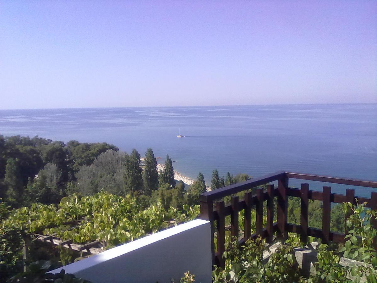 Pelion Orama Apartment Agios Ioannis  Exterior photo
