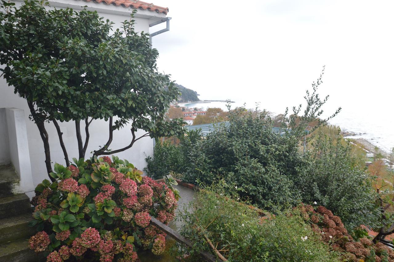 Pelion Orama Apartment Agios Ioannis  Exterior photo